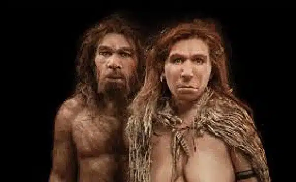 Neandertal