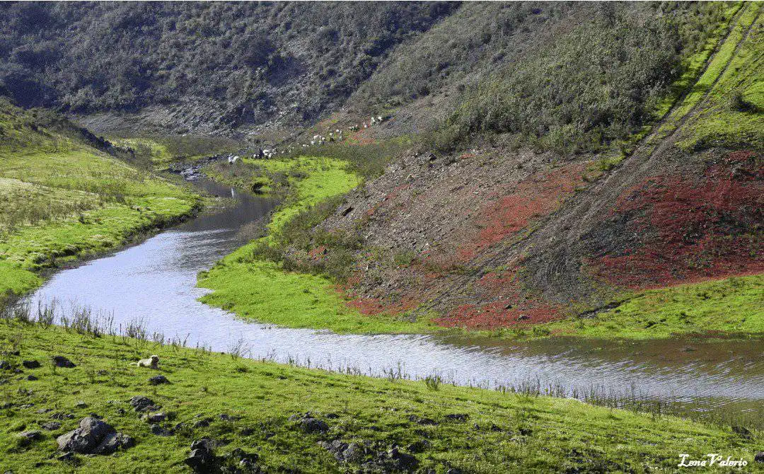 Ribeira do Beliche