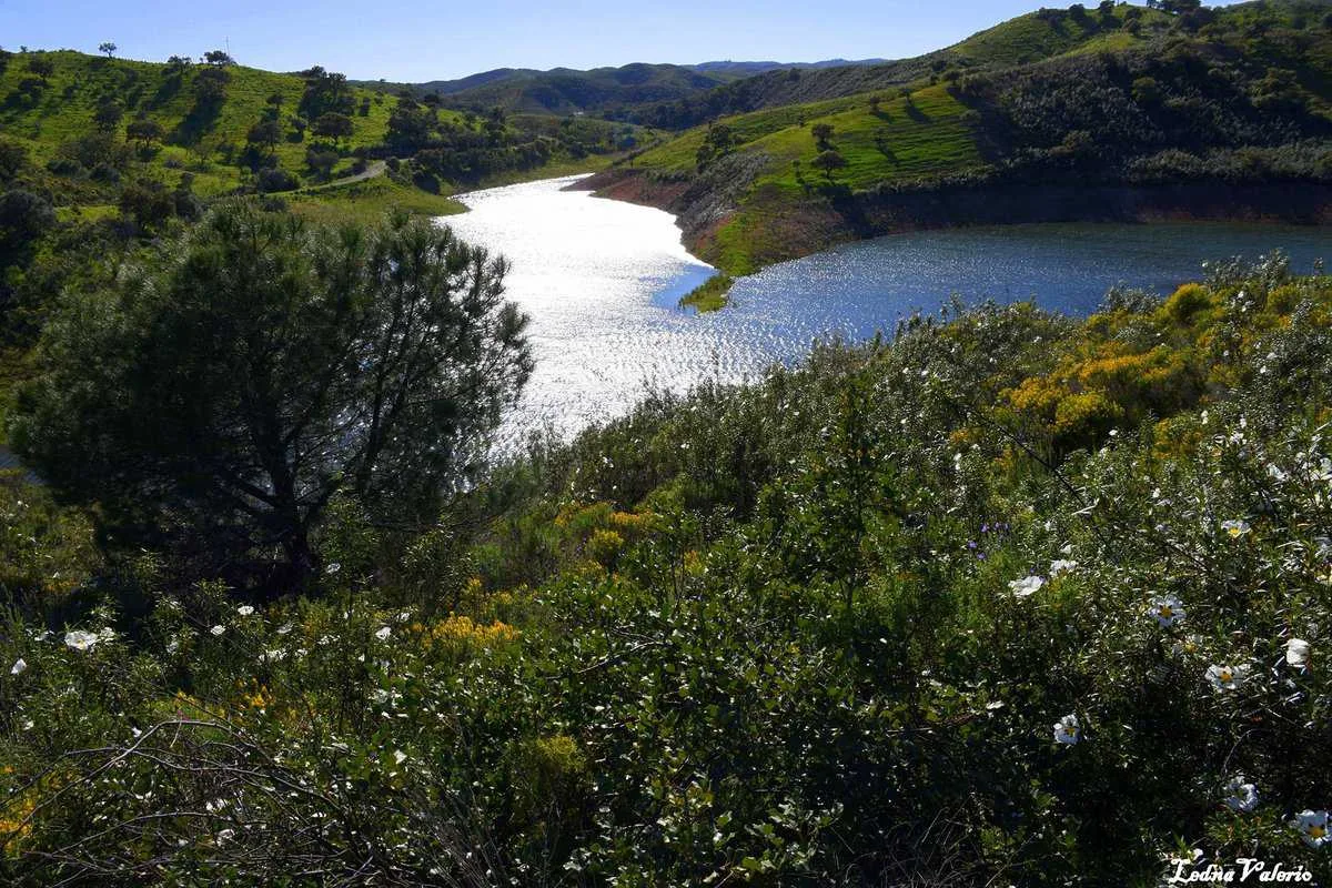 Barragem do Beliche