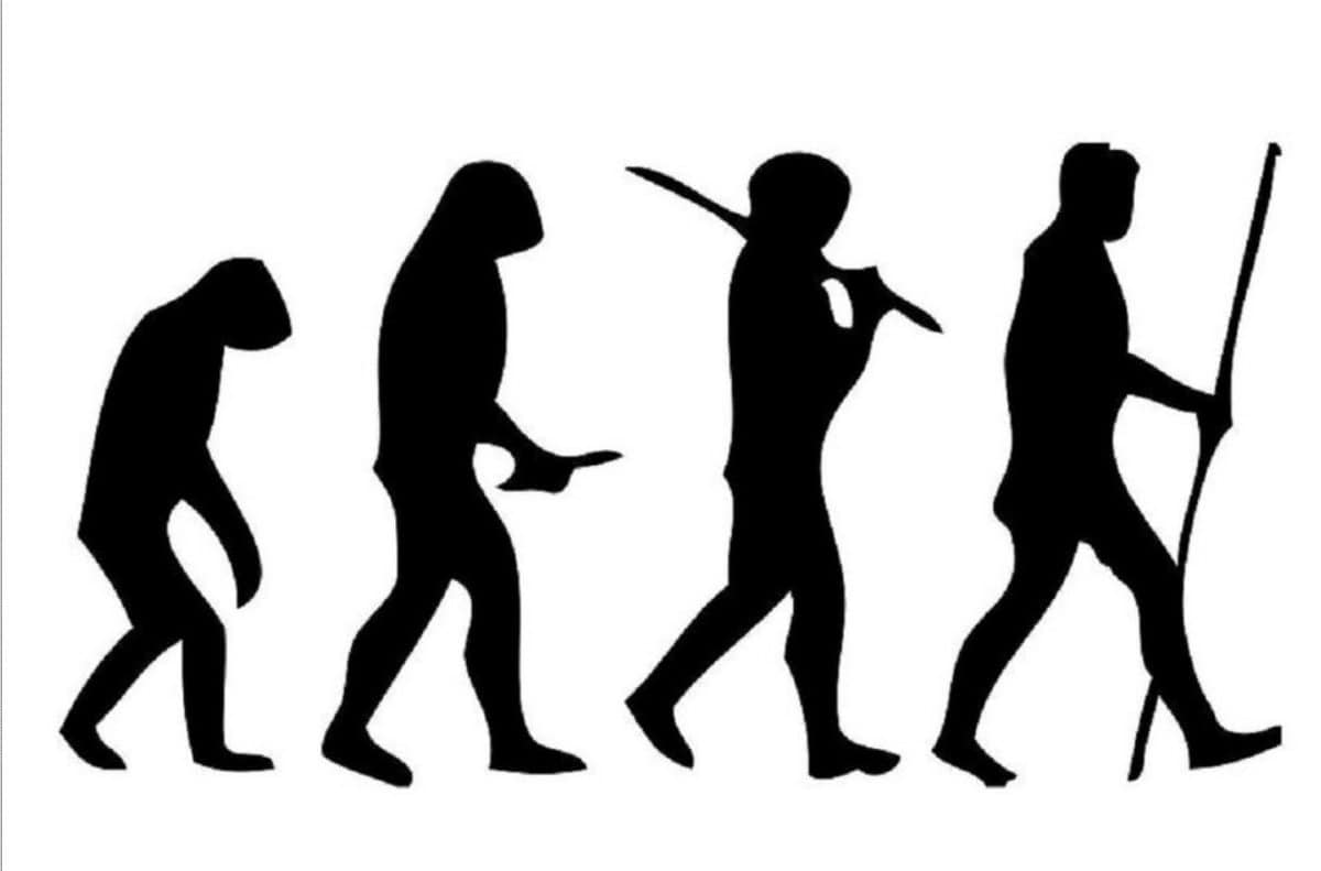 Evolução