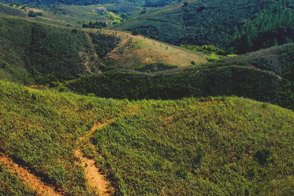 Serra do caldeirão