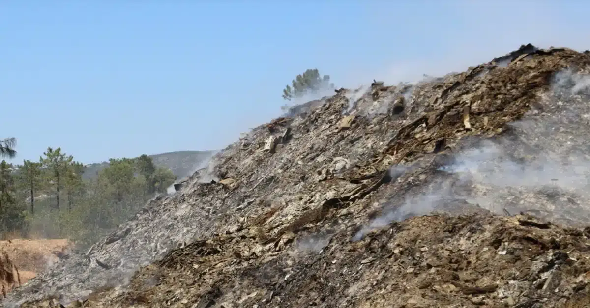 lixeira de vale da venda a arder