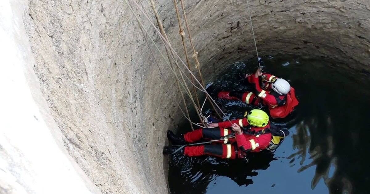 bombeiros salvam cao cam 01