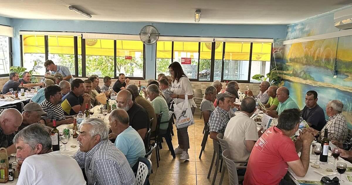 limpeza em castro marim convívio