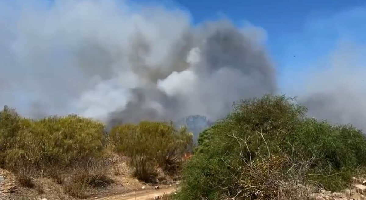 incêndio na reserva do sapal