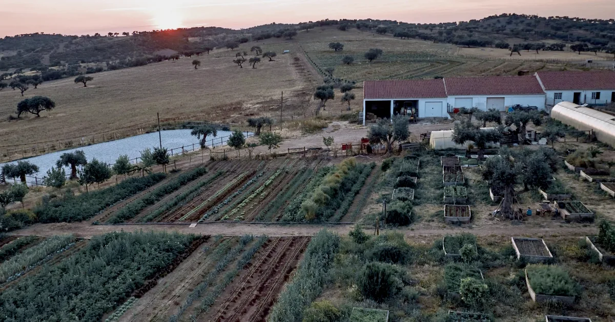 Quinta ao pôr do sol em Portugal.