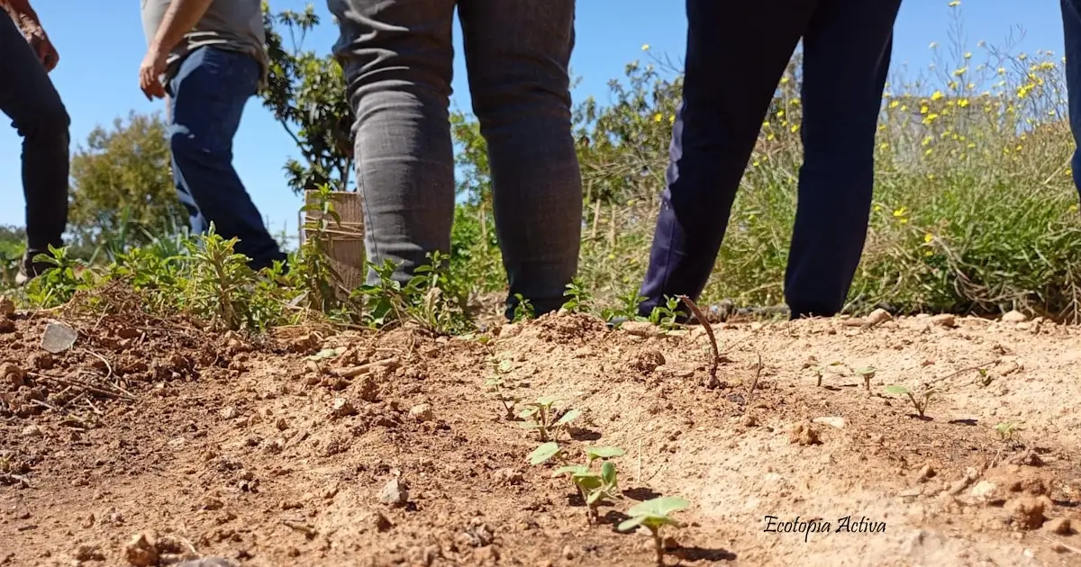 ecotopia ativa